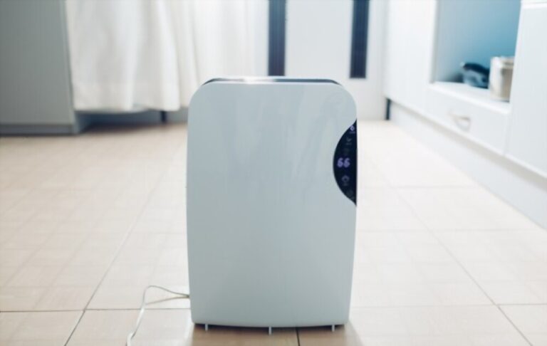 Are Dehumidifiers Worth It