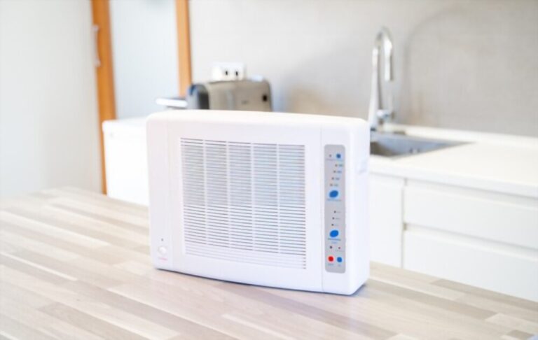 How To Use Ozone Generator In Home