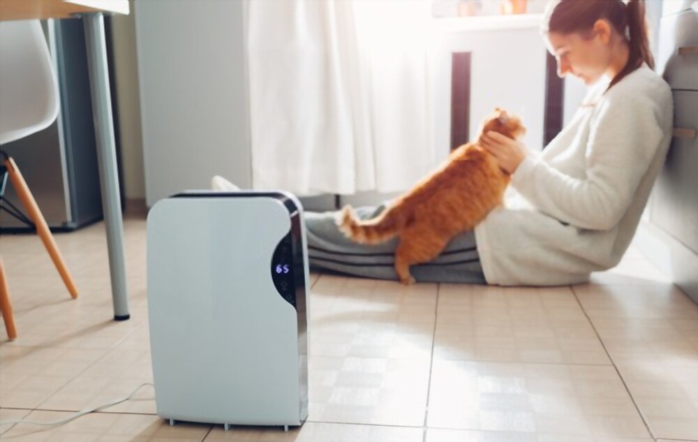 Does a Dehumidifier Help With Allergies and Asthma?