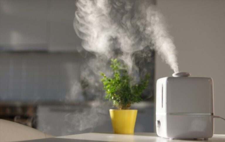 Can I Put Epsom Salt In My Humidifier