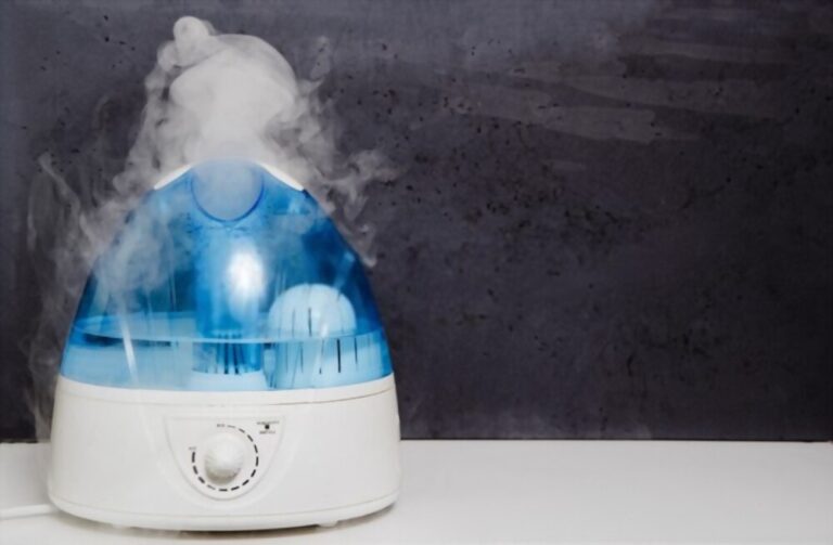  Vinegar In Humidifier For Congestion