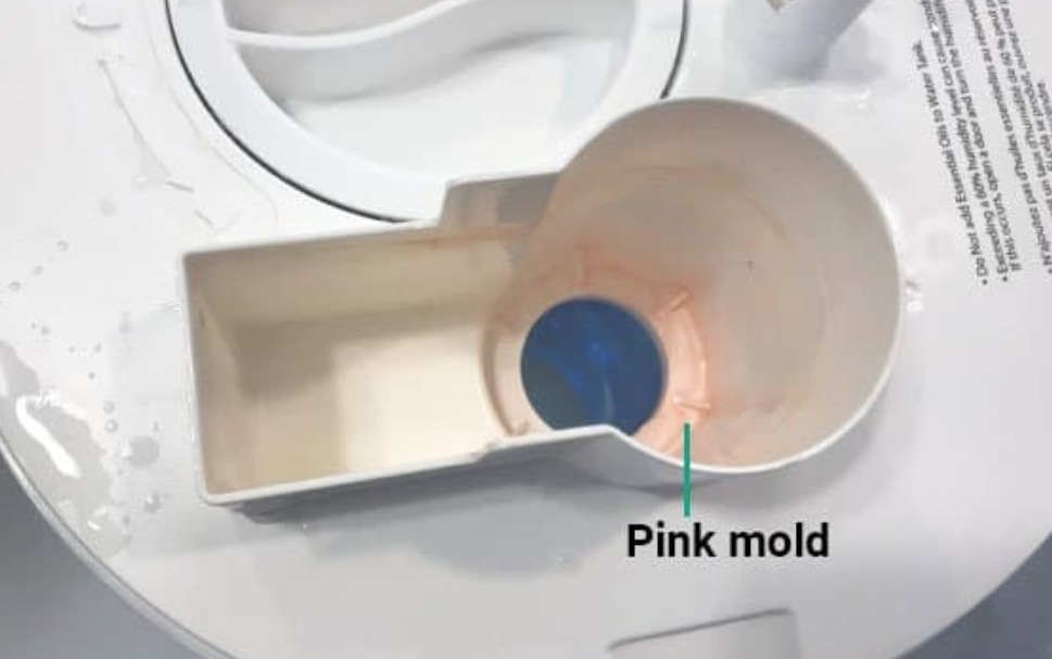 Pink Mold In Humidifier